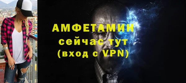гидра Надым