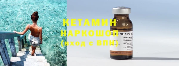 гидра Надым