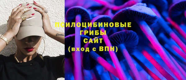 mdpv Михайлов