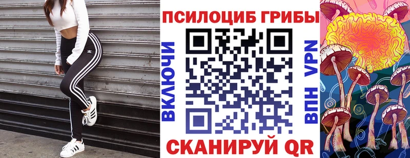 Псилоцибиновые грибы ЛСД  Кыштым 