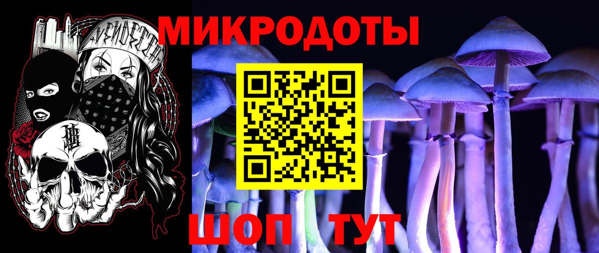 Галлюциногенные грибы мицелий Кыштым